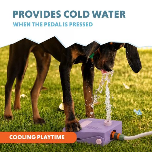 Coolpets Splash szökőkút lila