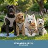 Coolpets kutya hűtőmellény XL