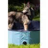 CoolPets Splash kutyamedence 3