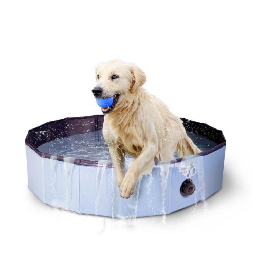 CoolPets Splash kutyamedence 2, Vízmérgezés kutyáknál