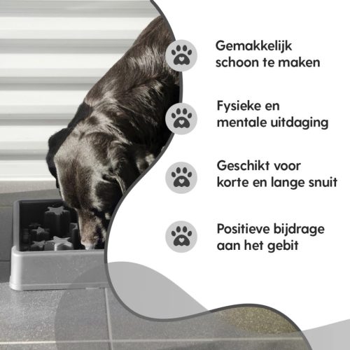 Eat Slow Live Longer Star Habzsolásgátló Tál Szürke XS