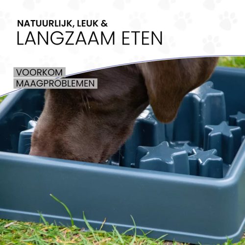 Eat Slow Live Longer Star Habzsolásgátló Tál Szürke L