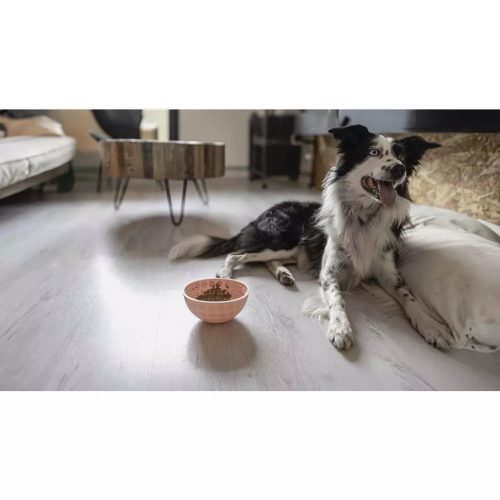 Eat Slow Live Longer Lick Mat Wobble Bowl rózsaszín