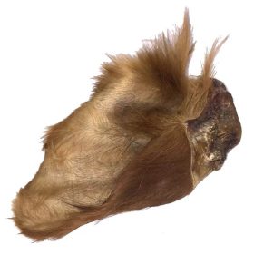 Szőrös marhafül 5db