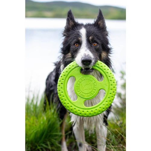 tpr-824_frisbee_mini_green_5_1_1_1