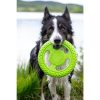tpr-824_frisbee_mini_green_5_1_1_1