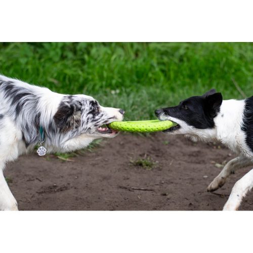 tpr-824_frisbee_mini_green_7_1_1_1
