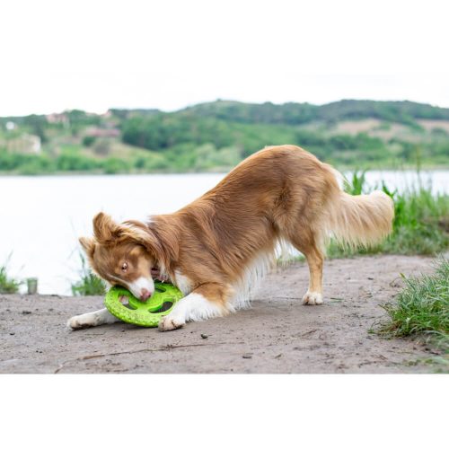 tpr-824_frisbee_mini_green_8_1_1_1