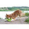 tpr-824_frisbee_mini_green_8_1_1_1
