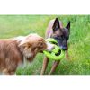 tpr-824_frisbee_mini_green_6_1_1_1