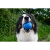 Kiwi Walker Let's Play Ball kutyalabda - kék színben