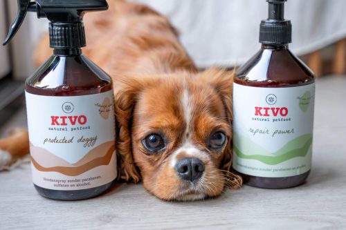 KIVO - Repair Power kutyasampon aloe verával és shea vajjal 500ML 1