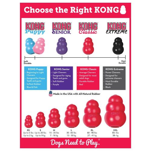 Kong Puppy Harang (M)