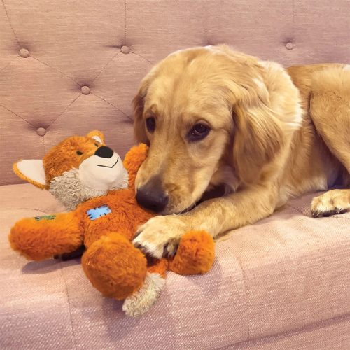 Kong Wildknots Tigris (M/L)