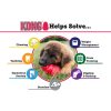 KONG CLASSIC HARANG PIROS (L)