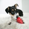 KONG CLASSIC HARANG PIROS (L)