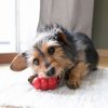 KONG CLASSIC HARANG PIROS (L)