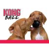 Kong Extreme Labda S