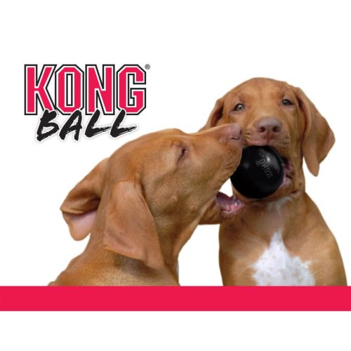 Kong Extreme Labda S