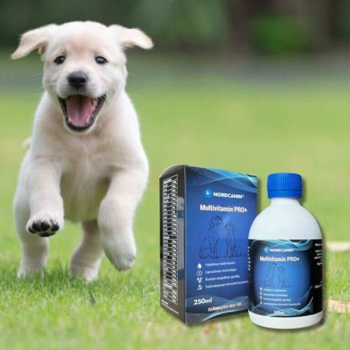 Nordcanin Multivitamin PRO+ 2