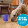 Outward Hound Orbee-Tuff Snoop M lila