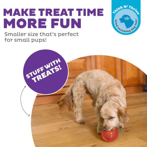 Outward Hound Orbee-Tuff Snoop S Rood (Lil’ Snoop) 7