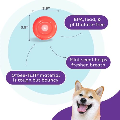 Outward Hound Orbee-Tuff Snoop S Rood (Lil’ Snoop) 8