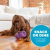 Outward Hound Double Snoop
