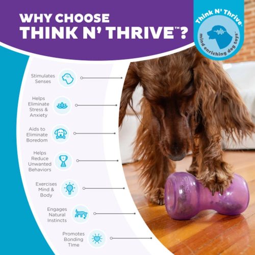 Outward Hound Double Snoop