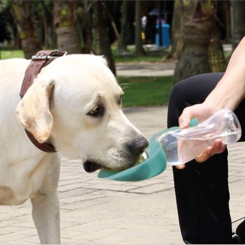 Record Wave itató kulacs utazáshoz kutyának 500ml