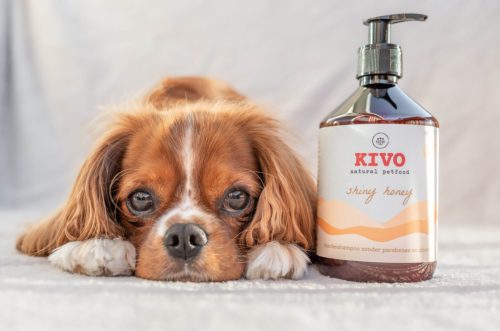 KIVO - Shiny Honey Kutyasampon argán olajjal és mézzel 2