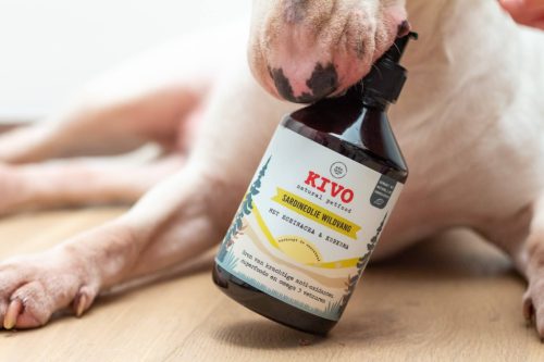 Kivo - Szardínia Olaj Echinaceával És Kurkumával 500ml, Szardínia Olaj Echinaceával És Kurkumával kutyáknak
