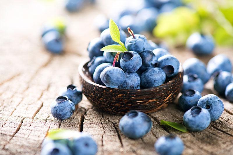 blaubeeren.jpg